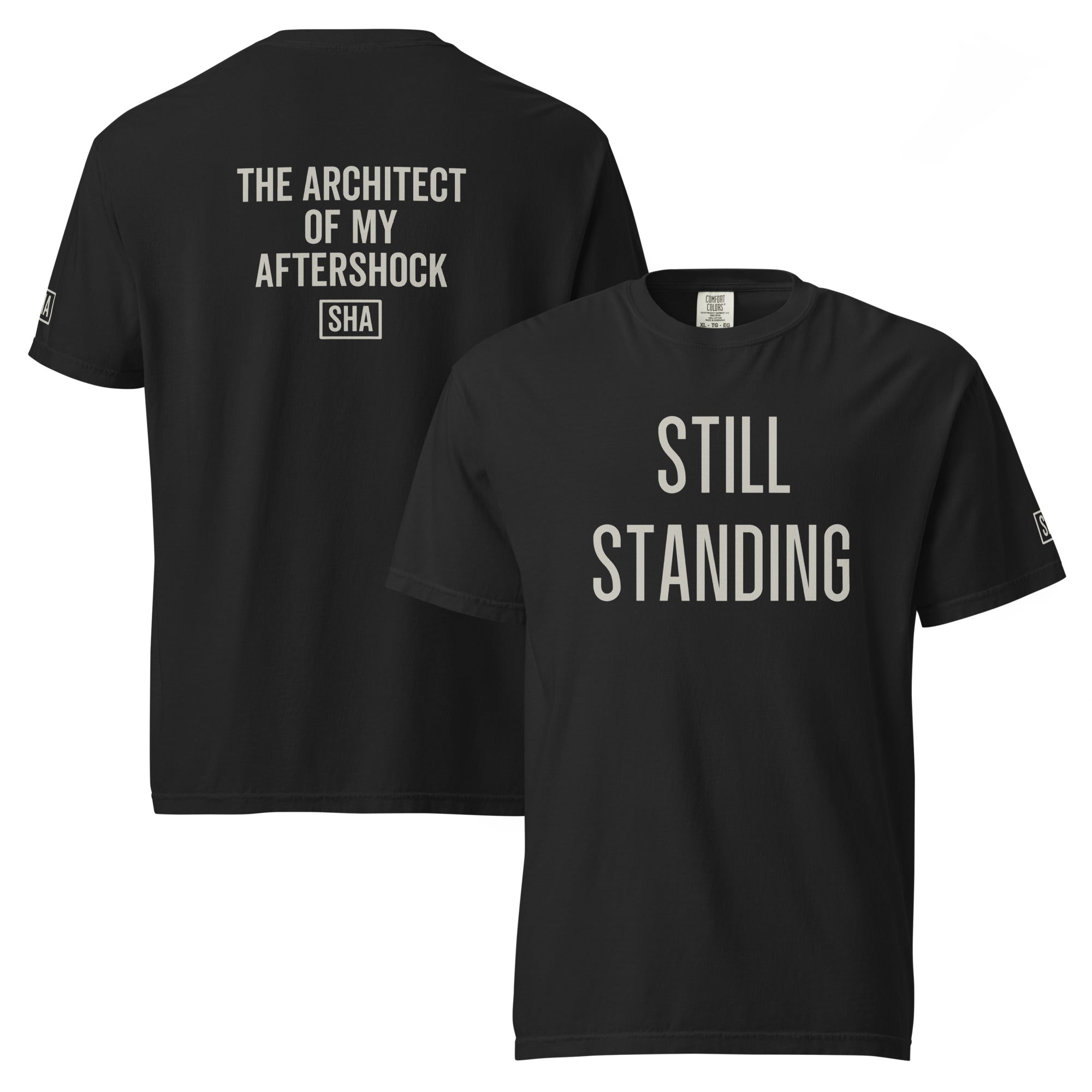 THE ARCHITECT