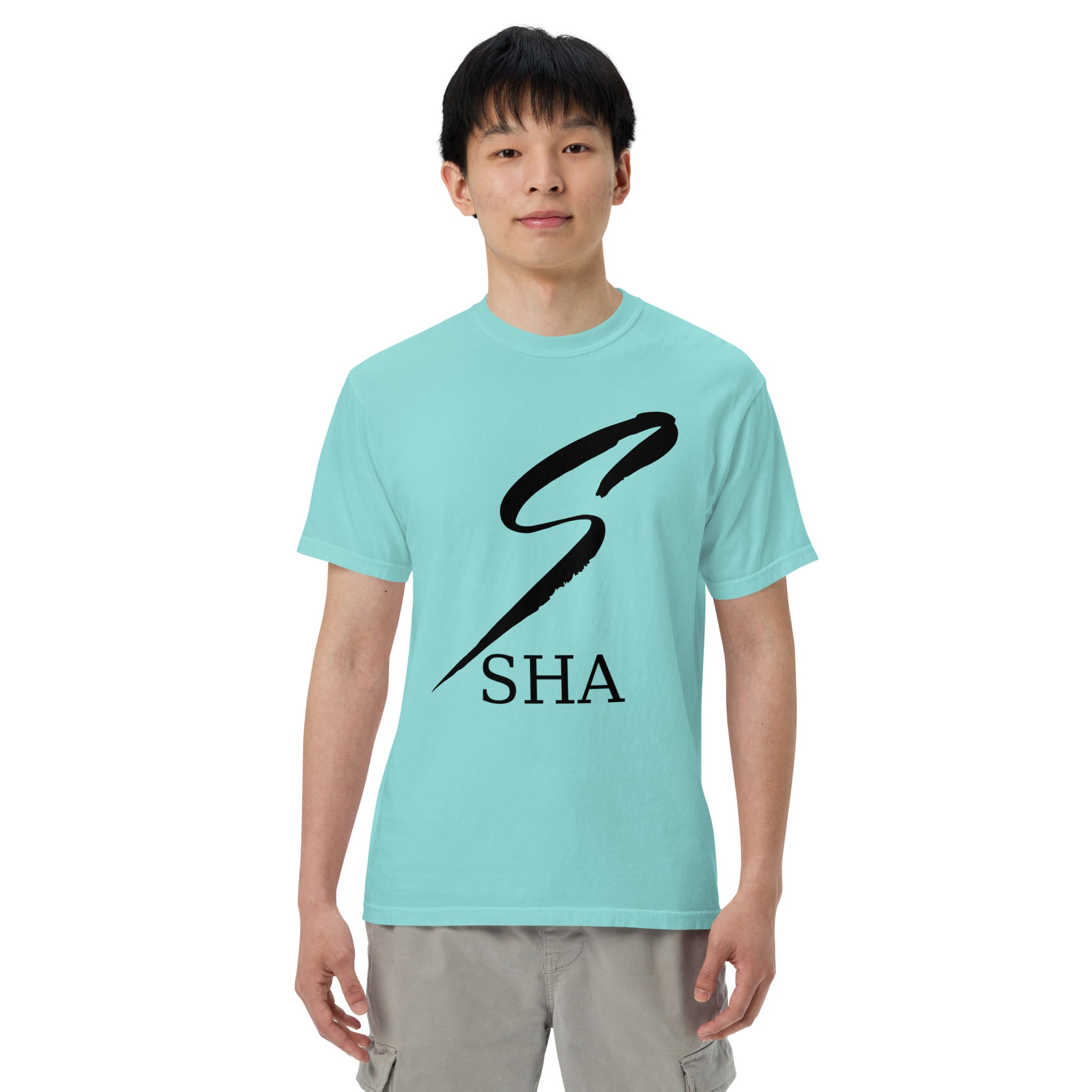 logo-mens garment-dyed heavyweight t-shirt