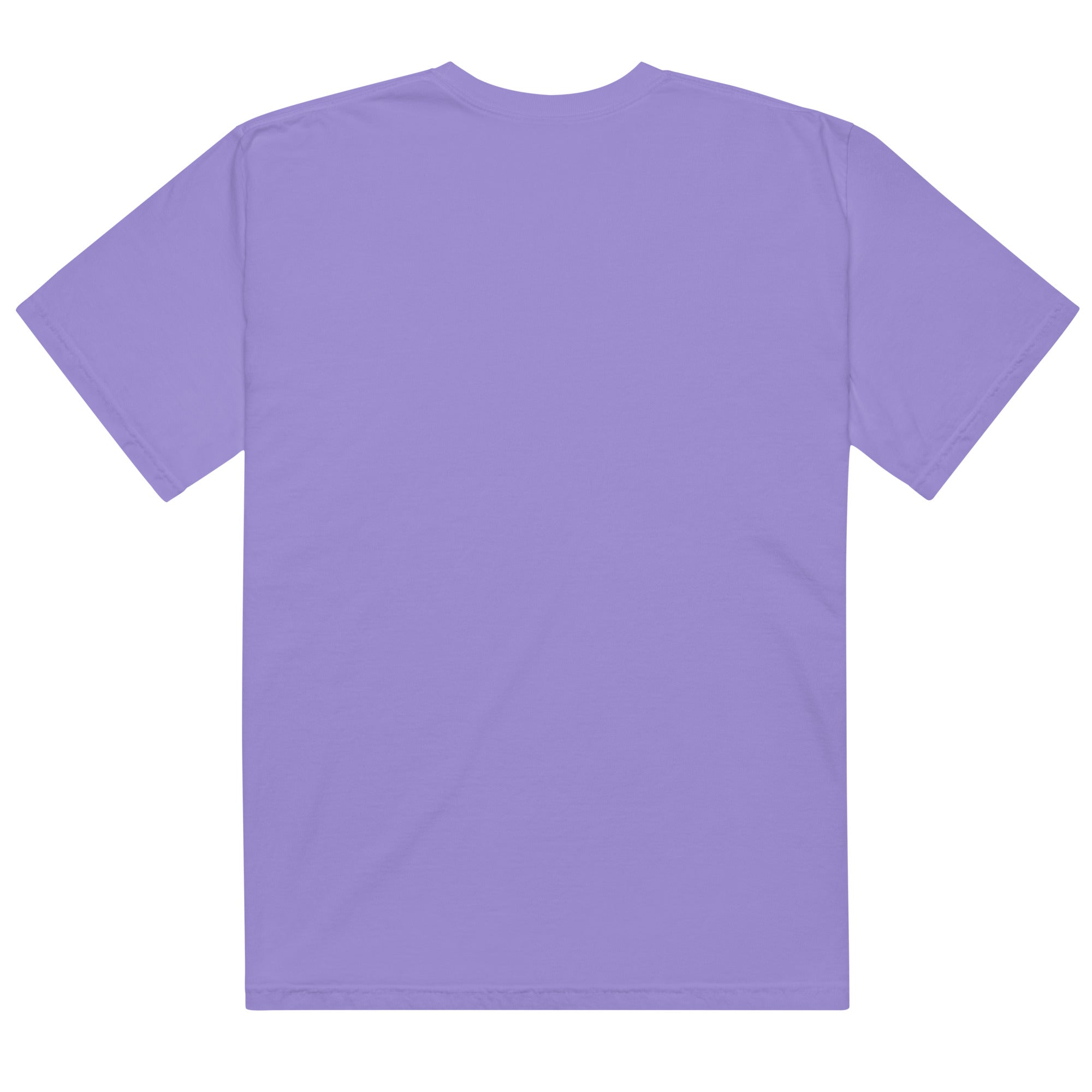 The beatles- Mens garment-dyed heavyweight t-shirt